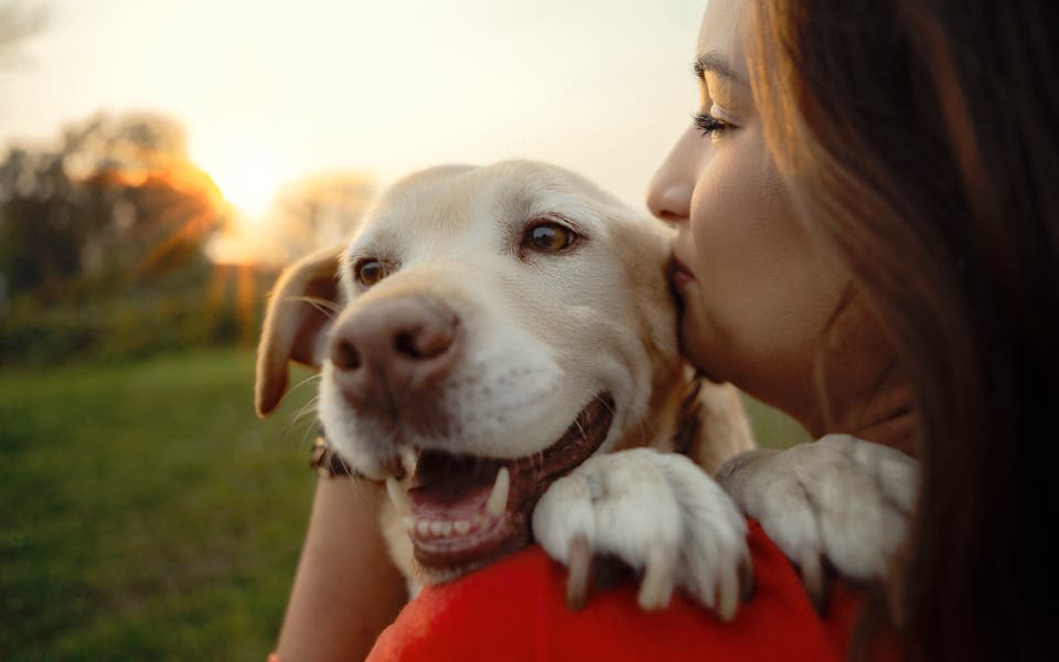 How to ensure your furry best friends are living their happiest life
