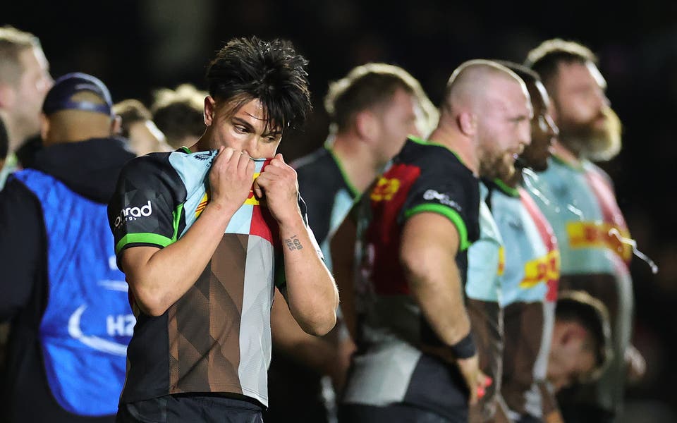 Wilson confident of swift Harlequins response to painful Toulouse loss